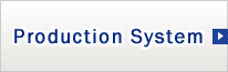 Production System
